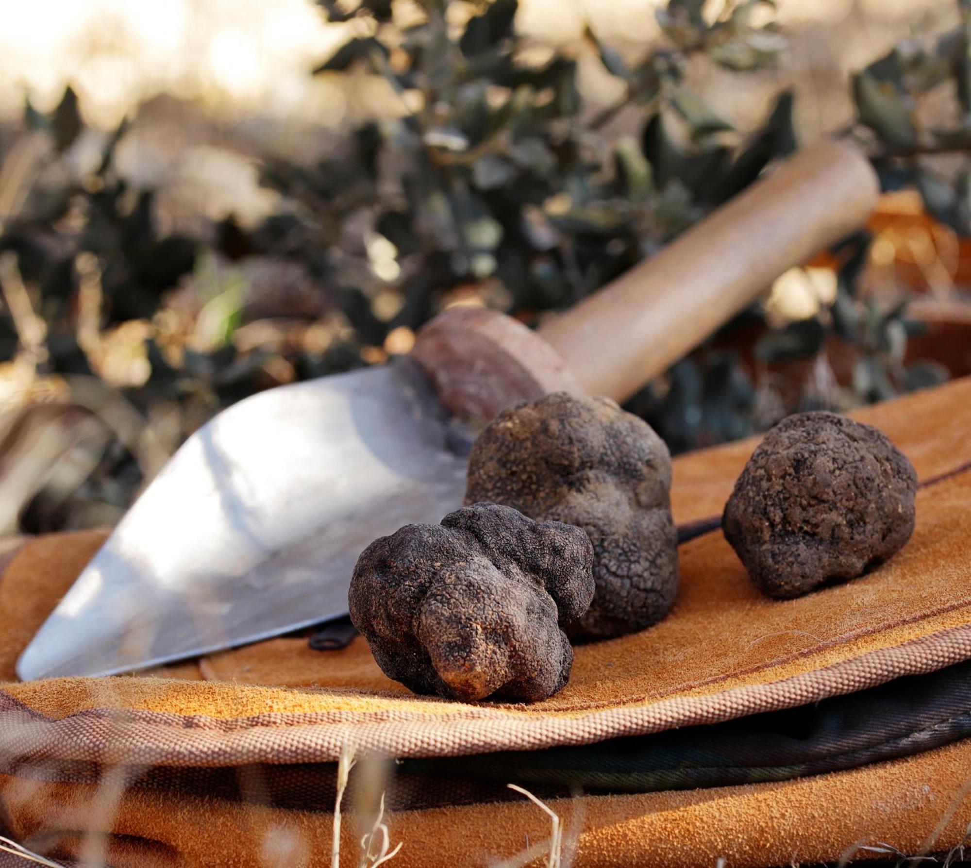 Aromas Del Jiloca, Tierra De Trufas Calamocha Exterior foto